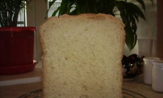 לחם תירס דוחן