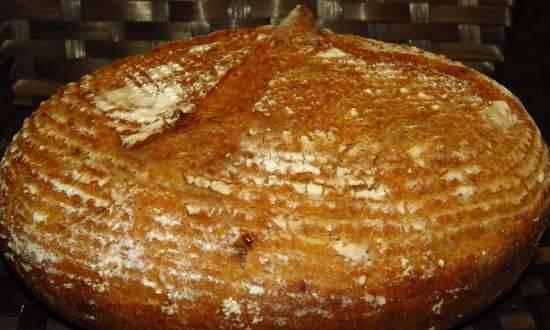 לחם בצל פודינג עם קמח מלא על שמרים נוזליים "Cipollino"