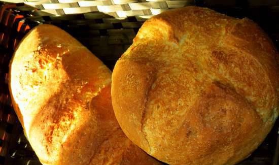 לחם עם שיבולת שועל ובצק ישן
