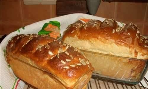  לחם בלרינה