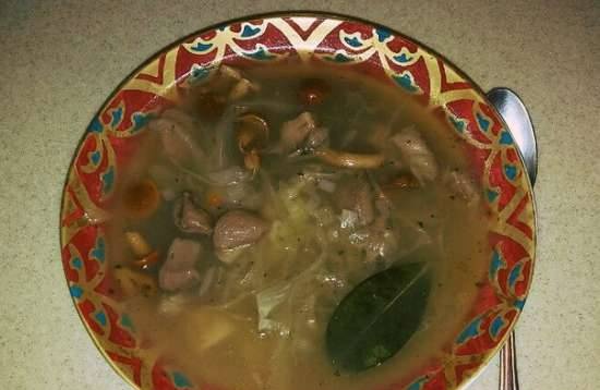 Wild mushroom soup with sauerkraut in a multicooker Redmond RMC-M 4502
