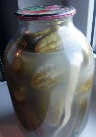 Curled pickled cucumbers (the simplest recipe)