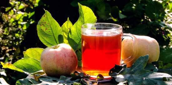 תה מותסס "תפוח עפיצות"