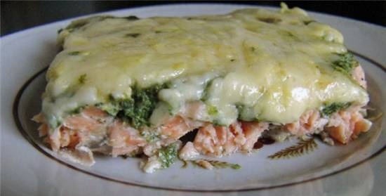 Salmon with spinach and garlic sauce