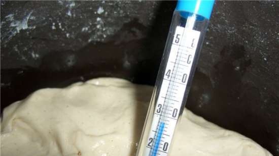 How to check if the dough is ready for baking? Finished dough temperature