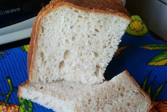 שימוש בחליטת קומבוצ'ה לבצק לחם