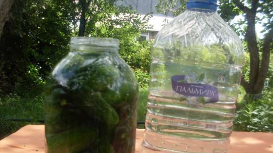 Naturally fermented cucumbers (without vinegar) for curling