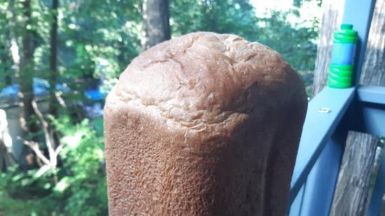יצרנית הלחם המילטון ביץ '29881