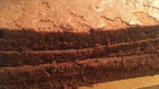 Gluten-free sponge cake made from rice flour with cocoa and two types of custard ..