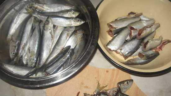 Canned sprat in tomato