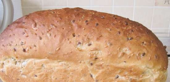 Pan bread with flax, sunflower and sesame seeds from Frederic Lalo