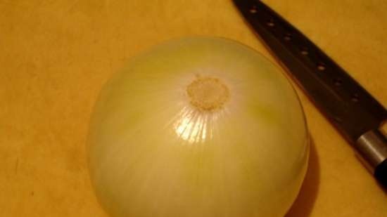 Onion Flower (Blooming Onion)