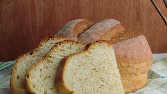 לחם או כלוריד ללא מלח