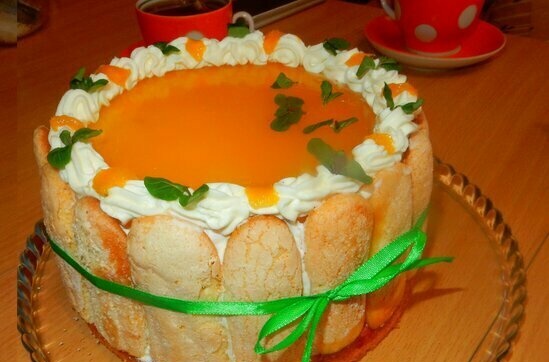 Charlotte mousse cake with mango