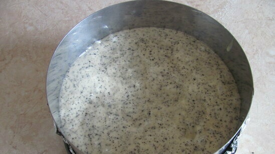 עוגת ספוג עם שומשום שחור, ג'לי משמש ומוס מאצ'ה