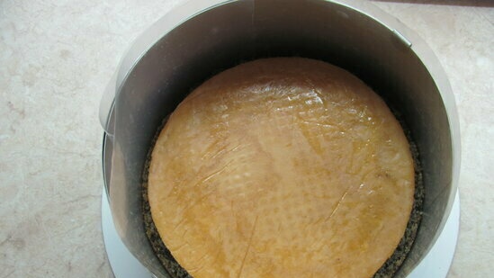 עוגת ספוג עם שומשום שחור, ג'לי משמש ומוס מאצ'ה