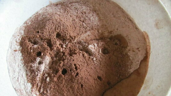 לחם ג'ינג'ר דבש שוקולד רזה בזיגוג סוכר עם אמוניום