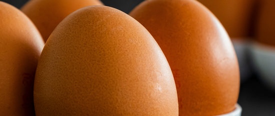 כיצד להמיר חלבון ביצה לביצים?