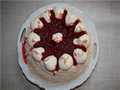 Gourmet cake with meringue and cranberries