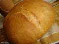 Altamura type bread Pane tipo Altamura
