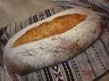 לחם עם פרנזינה ועשבי תיבול פרובנס