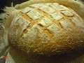 לחם חיטה עם קמח טריטיקלי