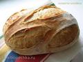 Communal sourdough bread (Pane Comune con Lievito Madre)