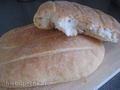 Armenian homemade bread Matnakash