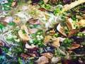 מרק כרוב כבוש עם ברווז ופטריות מיובשות ב- MoulinexCookForMe