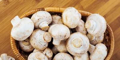 How to cook champignons correctly