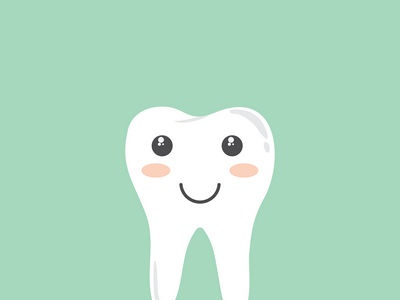 מבנה שיניים ולסתות