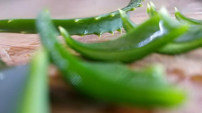 Aloe Vera benefits and ways to add it to your diet