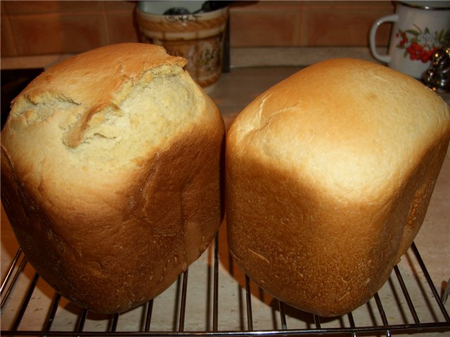 יצרנית לחם לכיכר 250 גרם - האם יש?