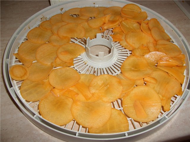 Dried fruit chips