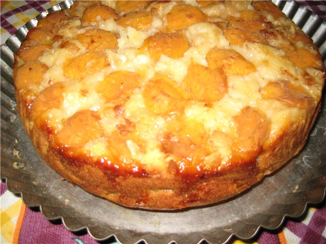 עוגת ספוג דבש עם משמשים (Panasonic SR-TMH18)