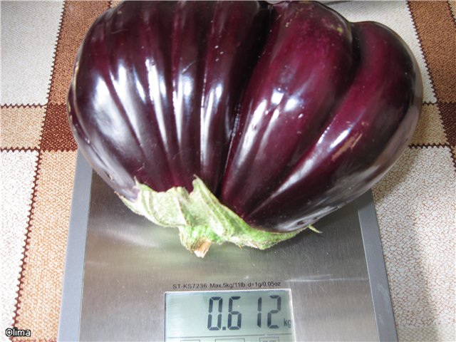 Eggplant sote