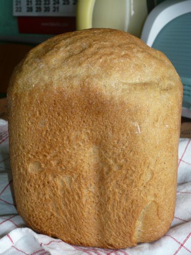 Whole wheat soda bread (sponge method)