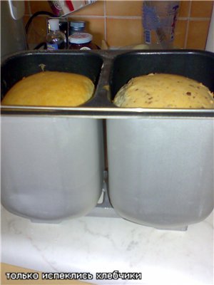 Oven for baking one large or two small loaves