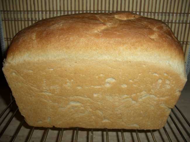 שימוש בחליטת קומבוצ'ה לבצק לחם