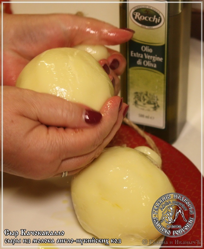 גבינת Cachocavallo עשויה מחלב עזים אנגלו-נובית