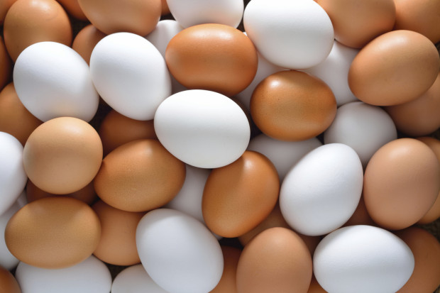 ביצים, אבקת ביצה (חלמון ולבן) ומלנג ביצה